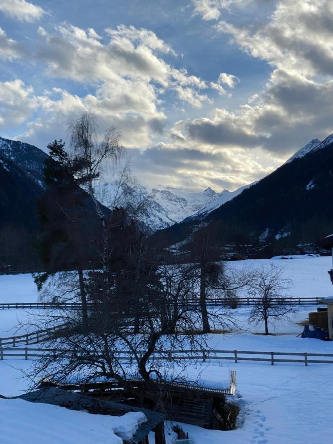 Staudenhof Apartments Neustift im Stubaital Exterior foto